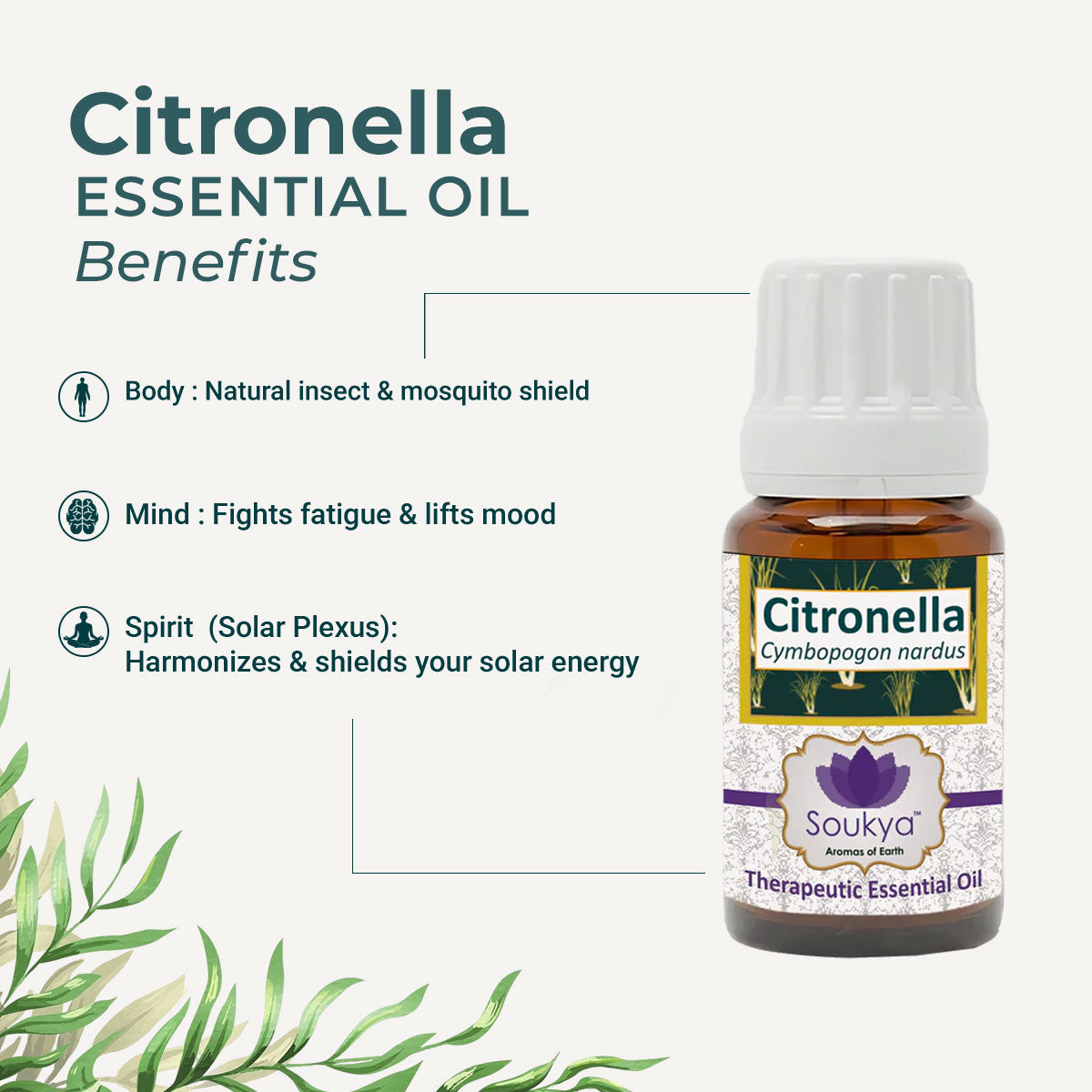 Citronella Essential Oil