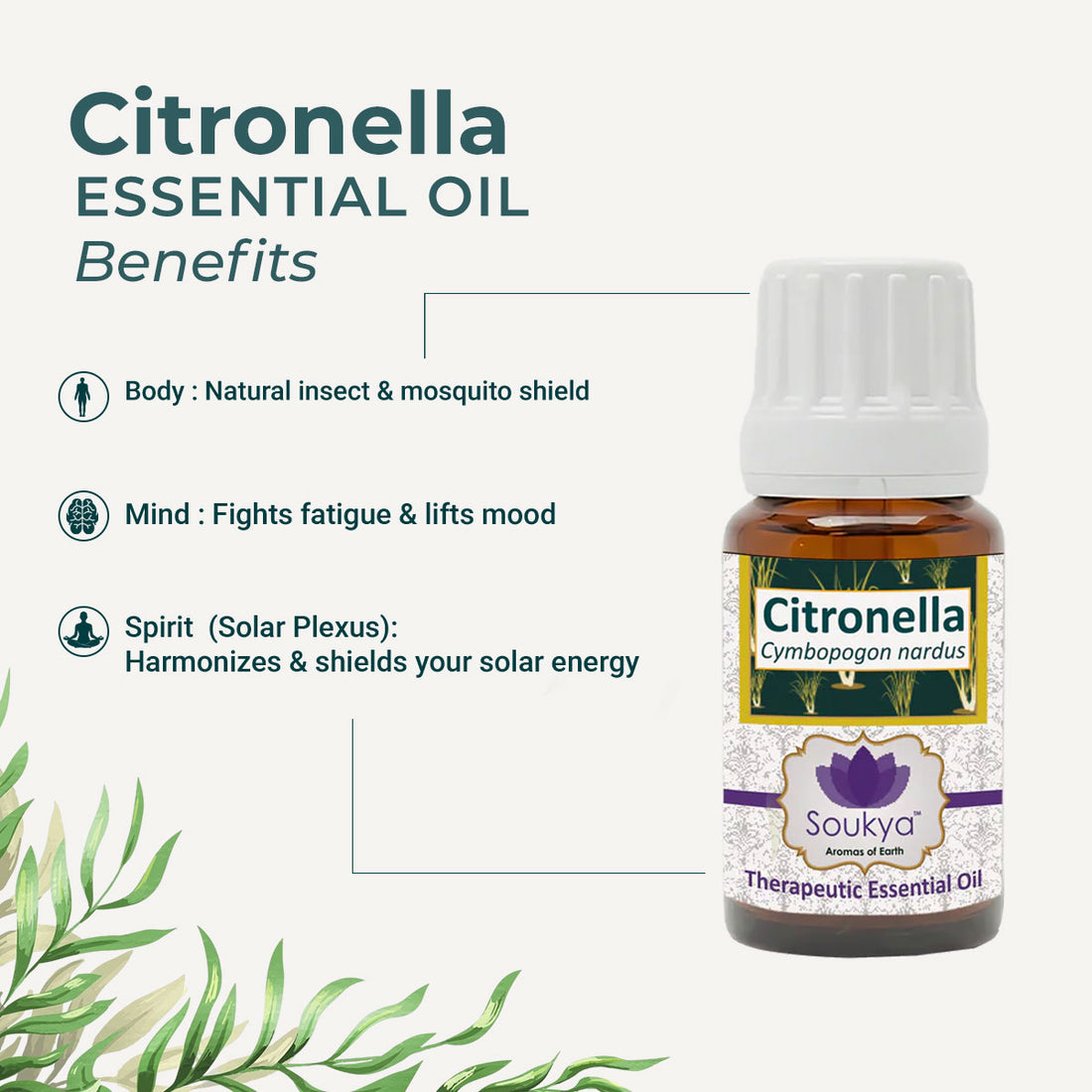 Citronella Essential Oil