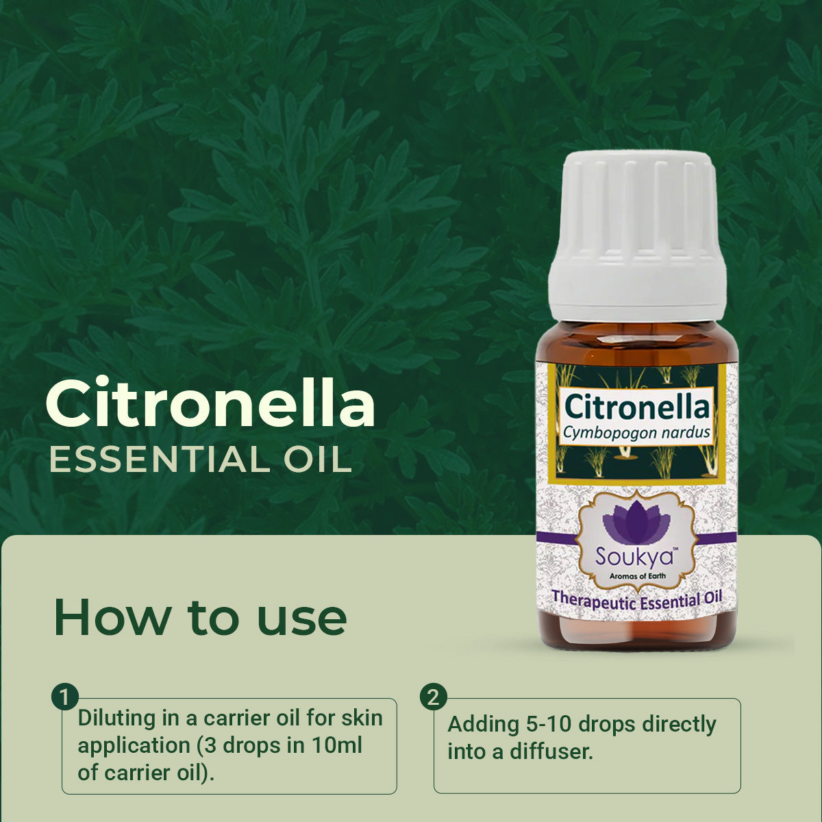Citronella Essential Oil