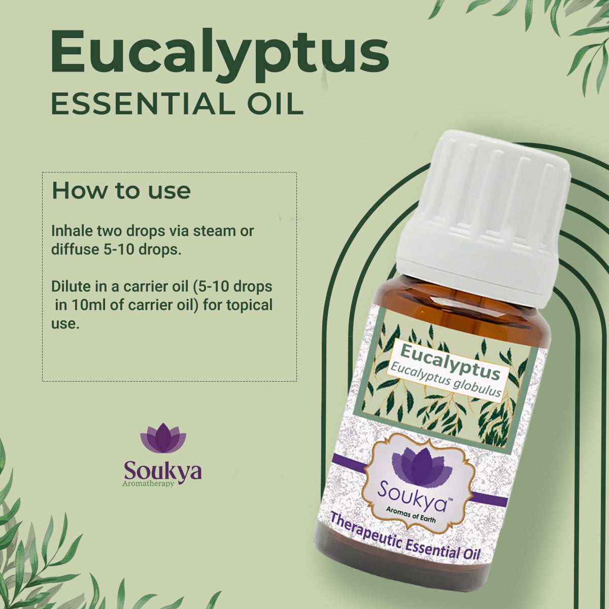 Eucalyptus Essential Oil