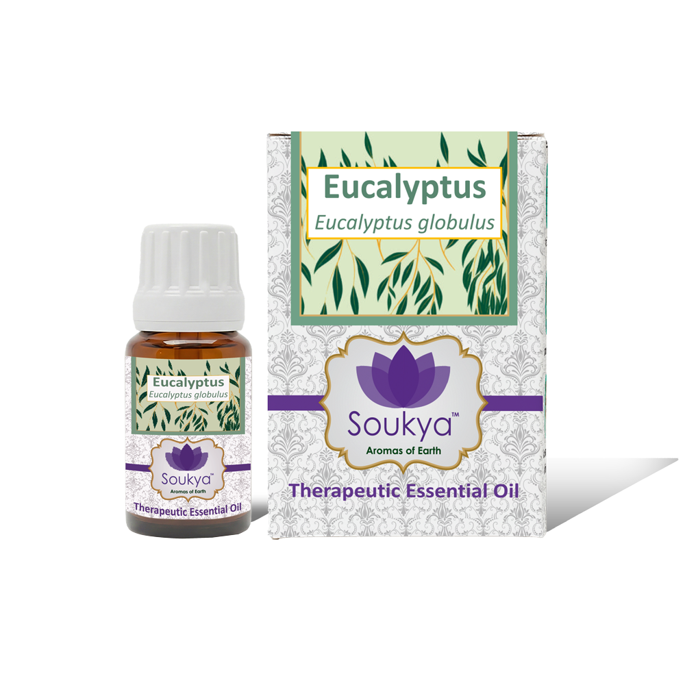 Eucalyptus Essential Oil