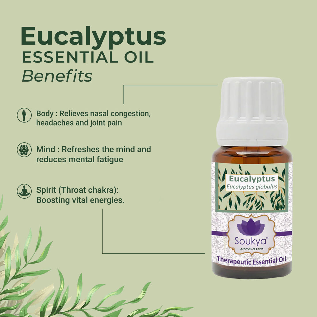 Eucalyptus Essential Oil