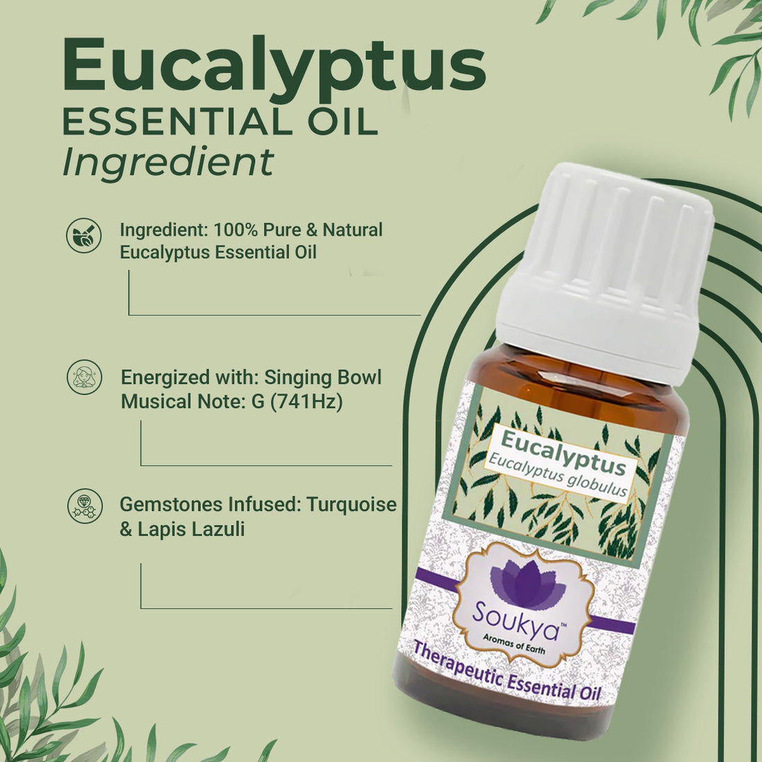 Eucalyptus Essential Oil