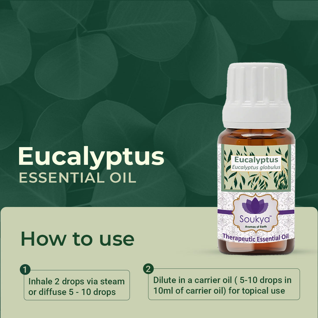 Eucalyptus Essential Oil