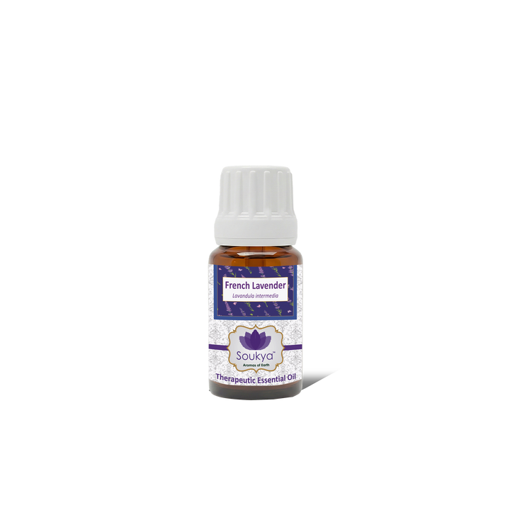 French Lavender Essential Oil