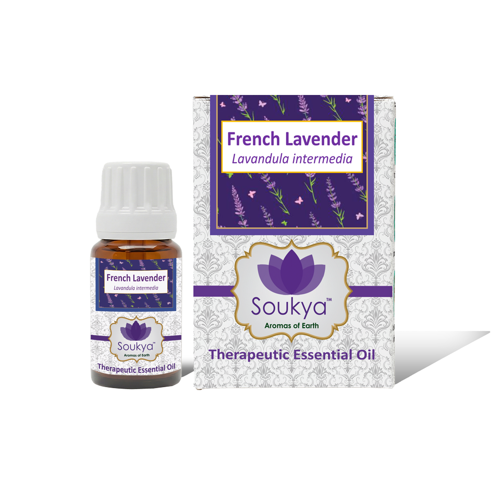 French Lavender Essential Oil