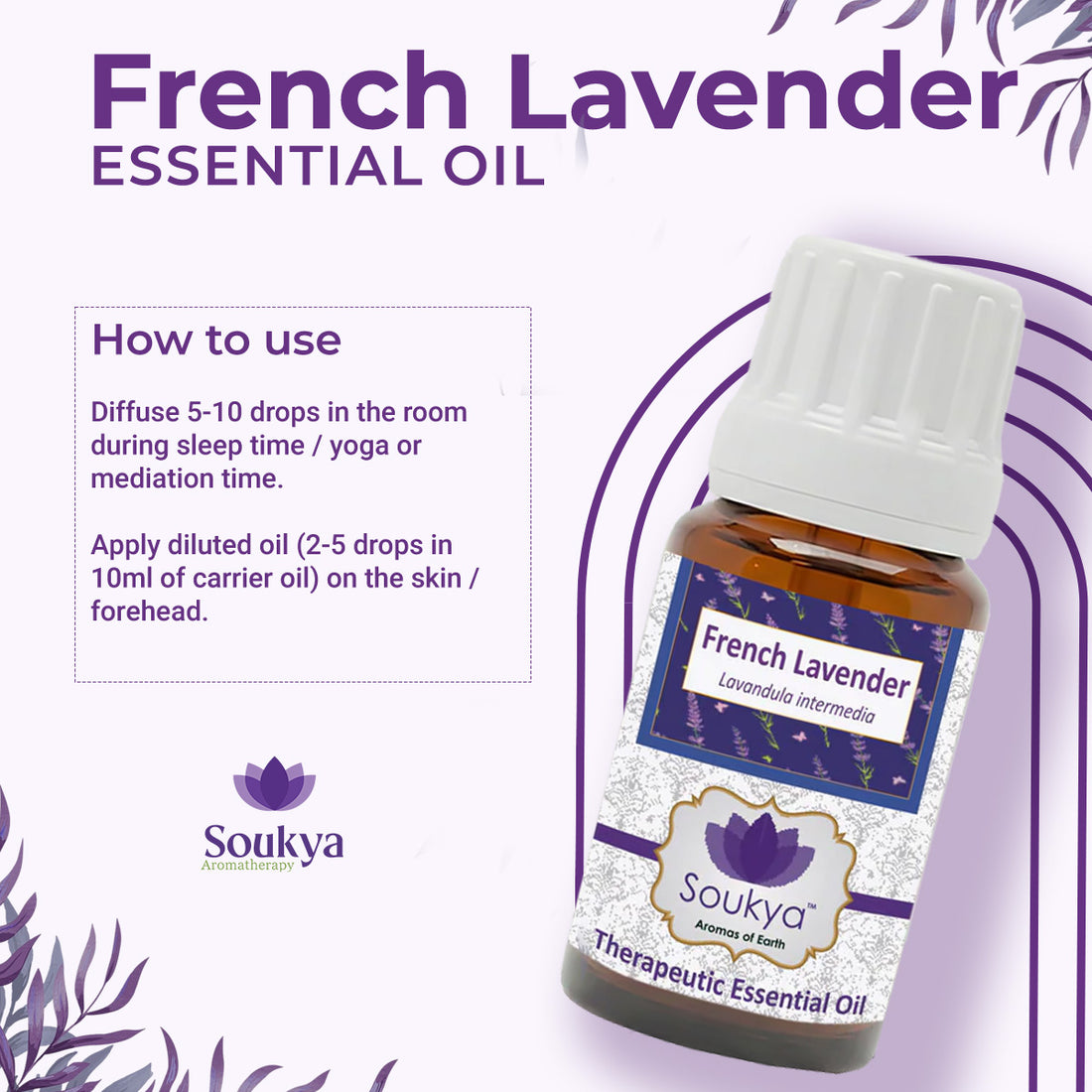 French Lavender Essential Oil