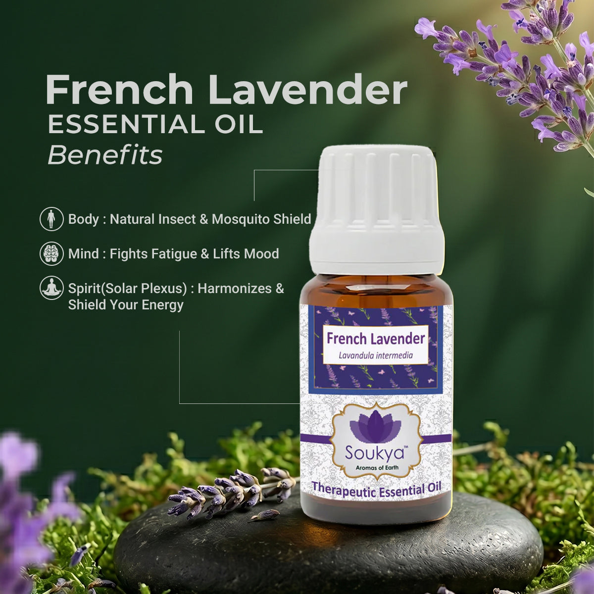 French Lavender Essential Oil