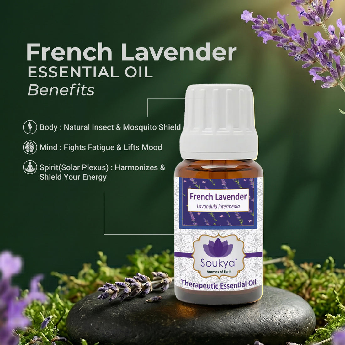 French Lavender Essential Oil
