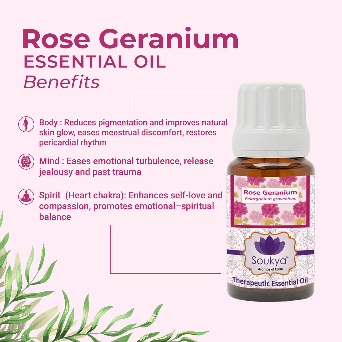 Rose Geranium Essential Oil