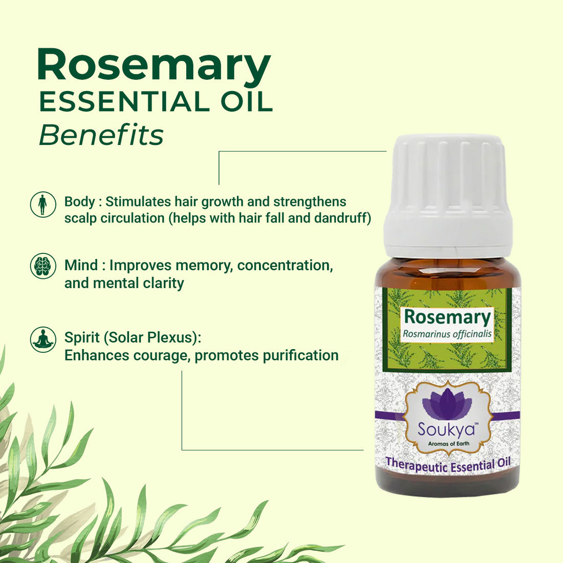 Rosemary Essential Oil